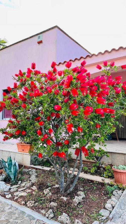 I Giardini Dell'Agave Daire Torre Santa Sabina Dış mekan fotoğraf