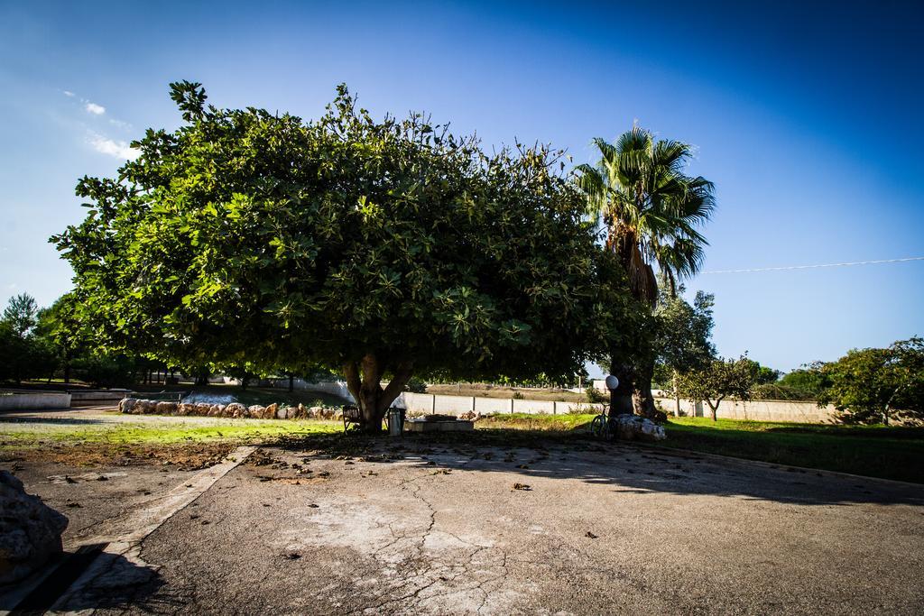 I Giardini Dell'Agave Daire Torre Santa Sabina Dış mekan fotoğraf