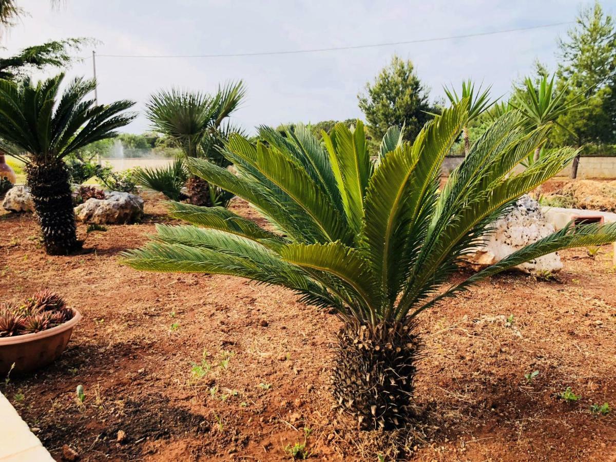 I Giardini Dell'Agave Daire Torre Santa Sabina Dış mekan fotoğraf
