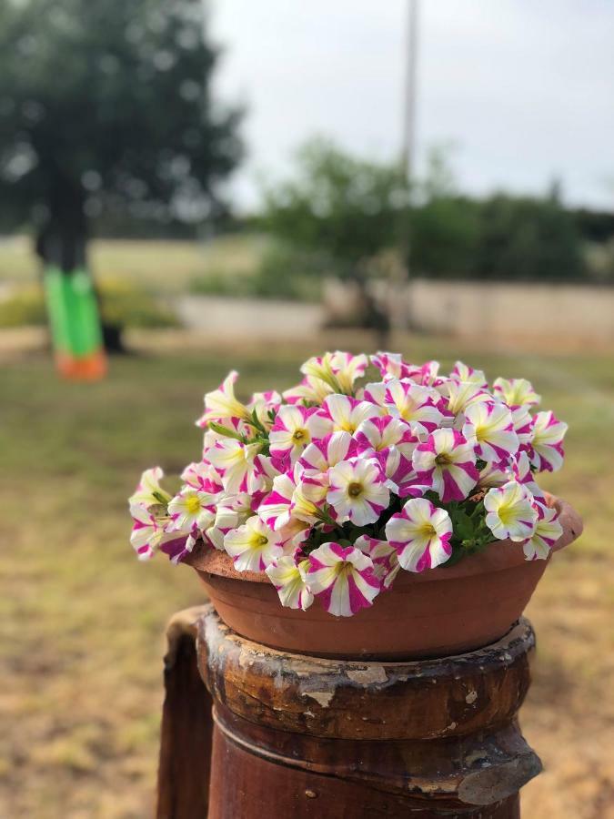 I Giardini Dell'Agave Daire Torre Santa Sabina Dış mekan fotoğraf